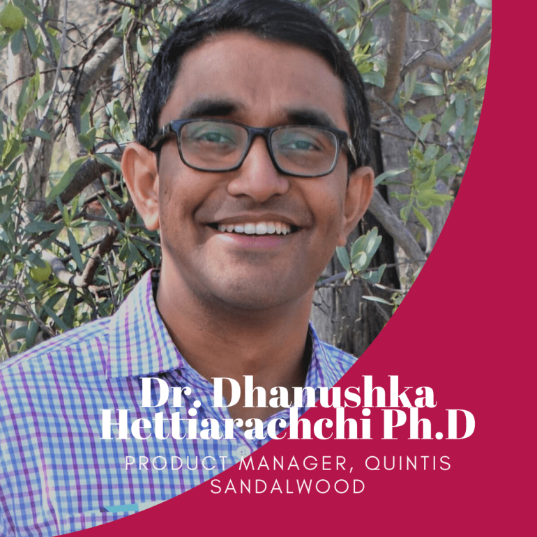 Indian sandalwood oil – an effective alternative to CBD oil