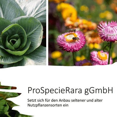 ProSpecieRara & Symrise collaborate to set a precedent