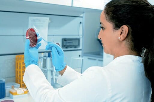 5 Emerging Science and Formulation Trends for Beauty Innovators to Watch in 2023 Lysando AG