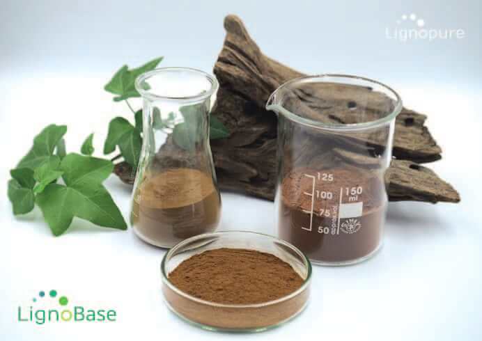 EURO COSMETICS Magazine • Glycoin® natural • Bitop • Bitop