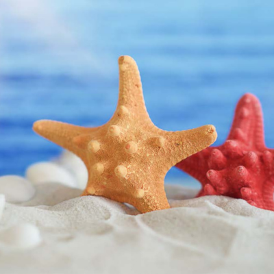 Reef-safe sunscreen: environmentalconcern or marketing hype?