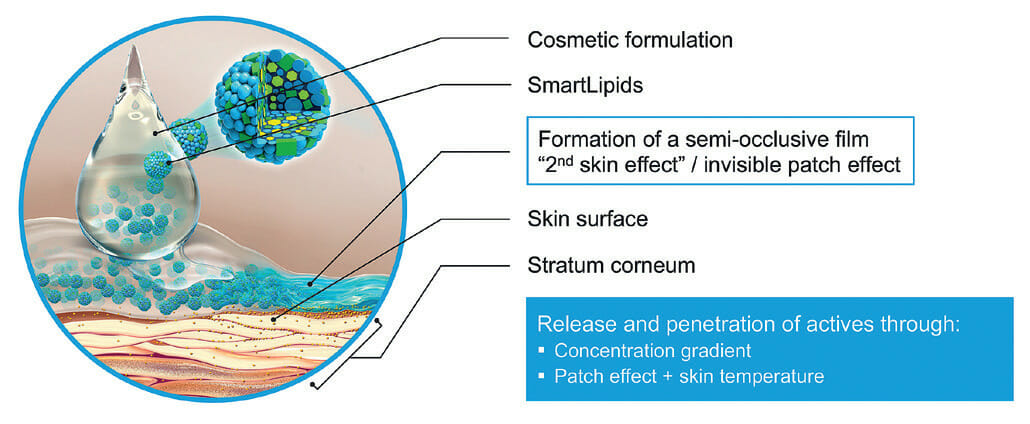 EURO COSMETICS Magazine • The Use of Submicron Lipid Matrix-Encapsulated Actives Offers a Multitude of Advantages for the Overall Performance of Skin Care Formulations • Dr. Sabilla Digel • Dr. Sabilla Digel