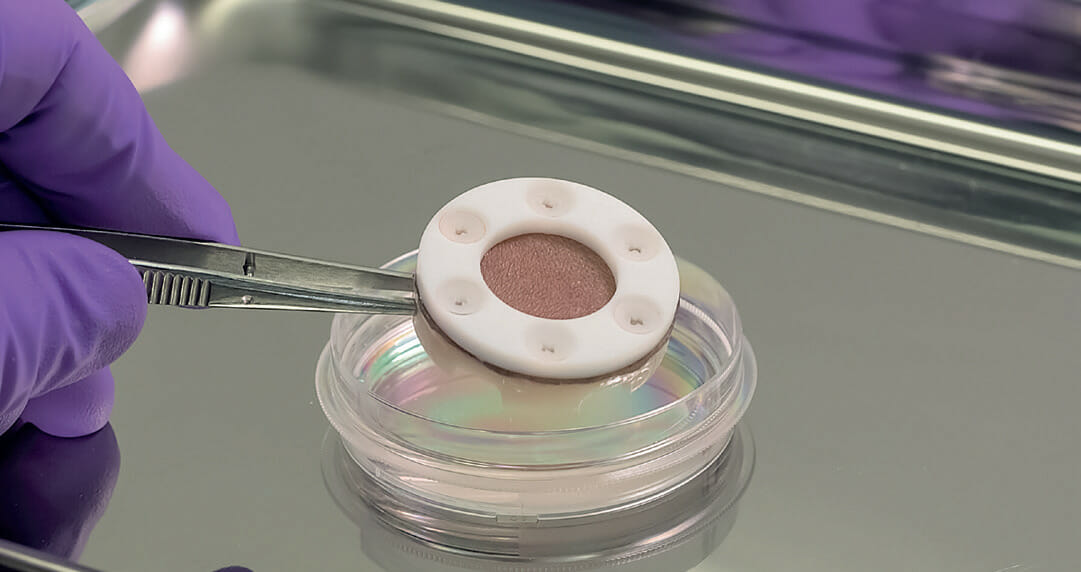 Euro Cosmetics Magazine Deanna Utroske Advances & Opportunities in (Pre)Clinical Testing for Cosmetics and Personal Care TenBio-TenSkin