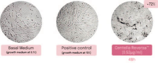EURO COSMETICS Magazine • Plant-derived Peptides and Biotechnology • Ò. Expósito and M. Buchholz • Ò. Expósito and M. Buchholz