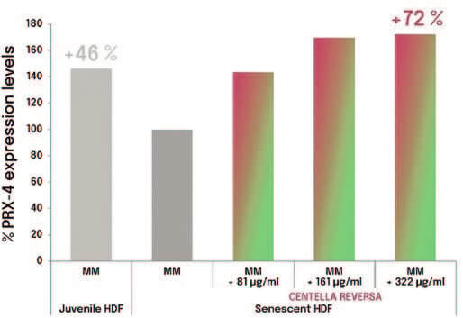 EURO COSMETICS Magazine • Plant-derived Peptides and Biotechnology • Ò. Expósito and M. Buchholz • Ò. Expósito and M. Buchholz