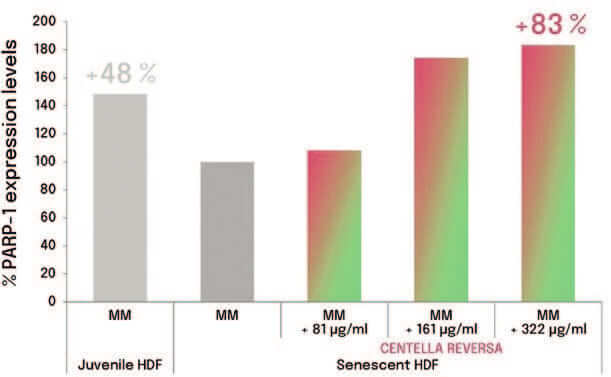 EURO COSMETICS Magazine • Plant-derived Peptides and Biotechnology • Ò. Expósito and M. Buchholz • Ò. Expósito and M. Buchholz