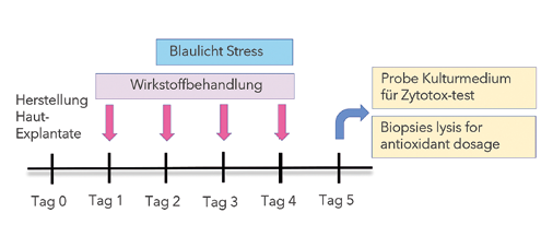 EURO COSMETICS Magazine • Natura-Tec SeaBerry Blue™Biomimetisch den antioxidativen Anti-Aging Effekt und den SPF boostern • Ulrike Marx, Kristina Usta, Pascale Goyat and Charlotte Vignal • Ulrike Marx, Kristina Usta, Pascale Goyat and Charlotte Vignal