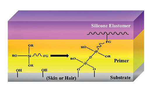 EURO COSMETICS Magazine • Silicone chemicals in cosmetics applications and their implications to the environment,health and sustainability • Dr. Anwar Sayyed and Dr. Rahul Kulkarni • Dr. Anwar Sayyed and Dr. Rahul Kulkarni