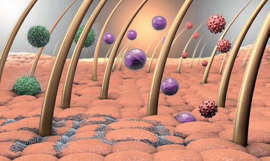 EURO COSMETICS Magazine • How to Prove the Concept of Microbiotic Skin Care • Christiane Uhl • Christiane Uhl