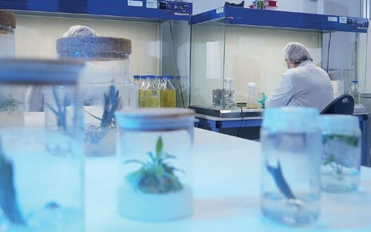 EURO COSMETICS Magazine • 5 Companies Transforming Beauty with the Science of Tomorrow • Deanna Utroske • Deanna Utroske
