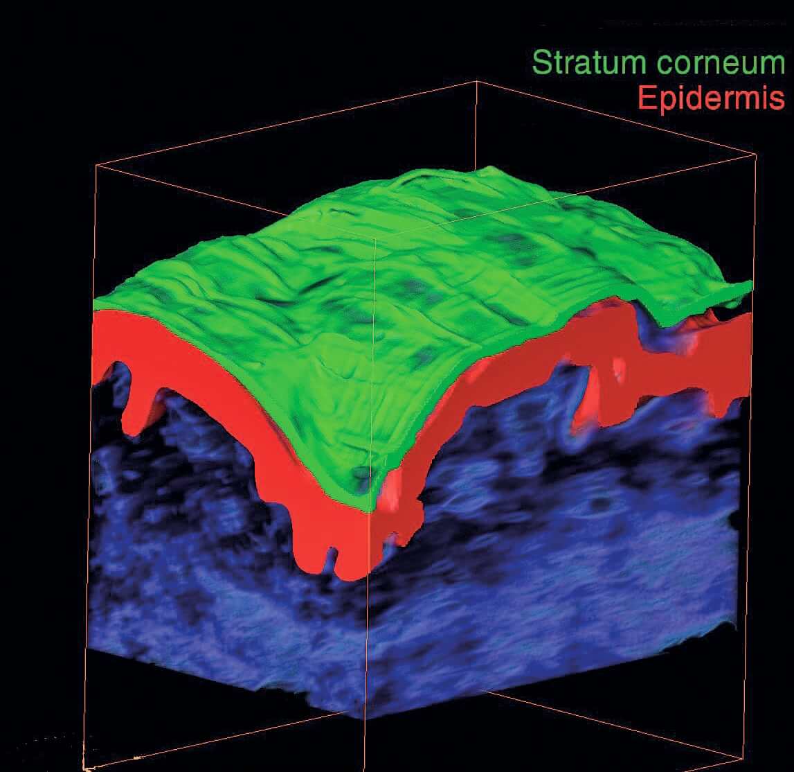 EURO COSMETICS Magazine • 3D Imaging of Skin • Nikita Radionov • Nikita Radionov