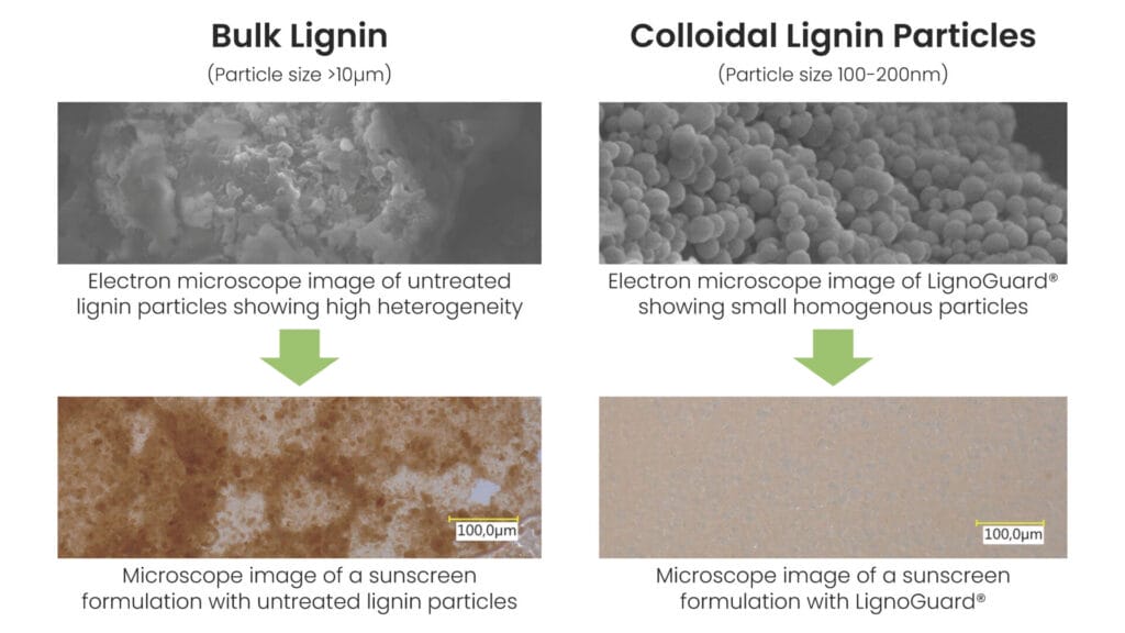 EURO COSMETICS Magazine • Boosting SPF with Lignin • Lignovations • Lignovations