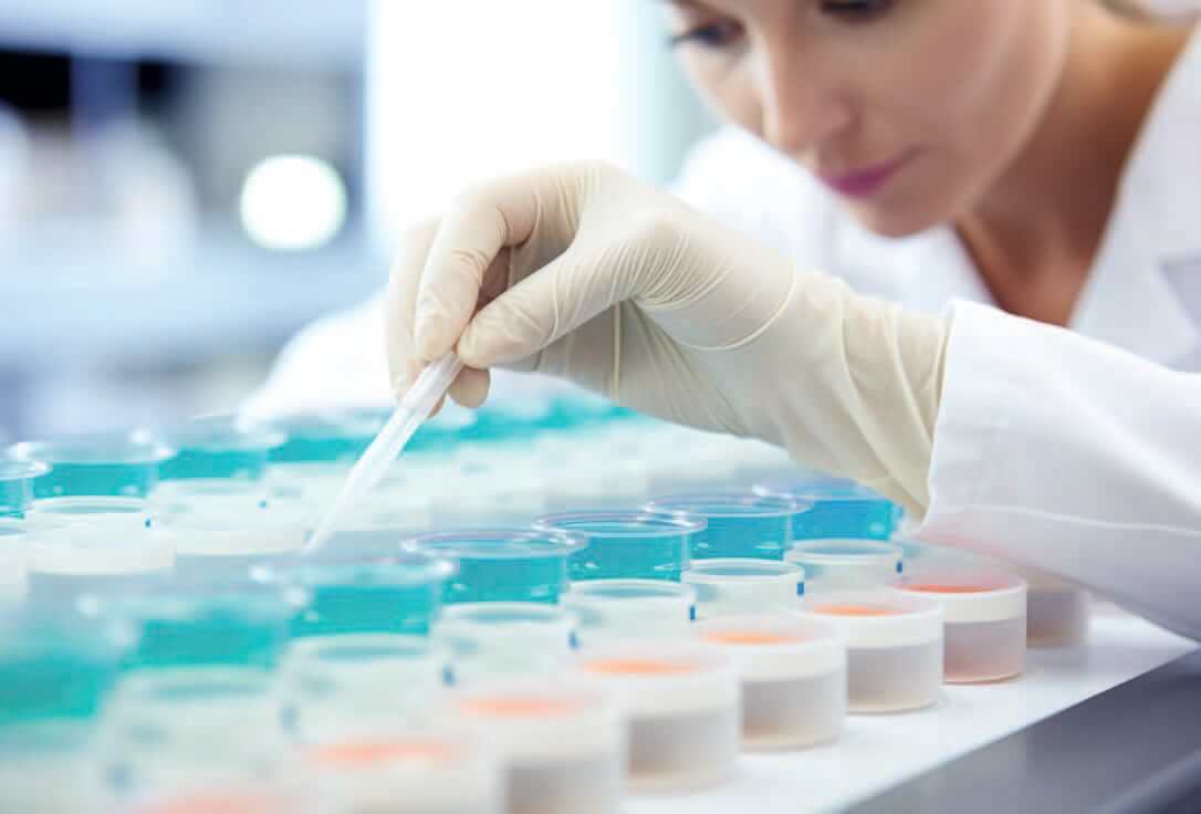 EURO COSMETICS Magazine • The Role of Toxicological Databases in the Era of New Approach Methodologies • Dr. Matteo Zanotti Russo, Angel Consulting SAS • Dr. Matteo Zanotti Russo, Angel Consulting SAS