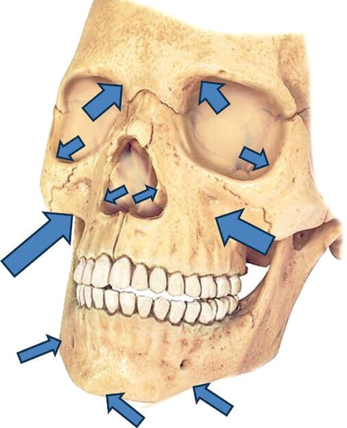 EURO COSMETICS Magazine • Change in facial morphology with age • Neelam Muizzuddin • Neelam Muizzuddin