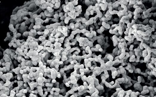 EURO COSMETICS Magazine • MicroSilver BG™ - A microbiome supportive skin conditioner withantimicrobial properties • Dr. Peter Steinrücke, Dr. Radhesh Kumar and Dipl.-Ing. Thomas Konradt • Dr. Peter Steinrücke, Dr. Radhesh Kumar and Dipl.-Ing. Thomas Konradt