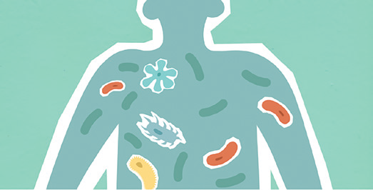 EURO COSMETICS Magazine • Skin Microbiota and its roles in cutaneous diseases - Innovative approaches for maintaining and enhancing skin health • Anne-Sophie Bongain-Decosne, NCC, Nutrition Cosmetics Creation SA • Anne-Sophie Bongain-Decosne, NCC, Nutrition Cosmetics Creation SA