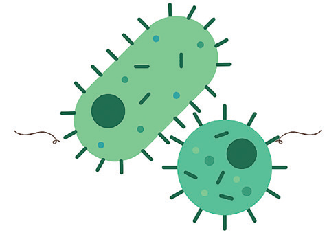 EURO COSMETICS Magazine • Skin Microbiota and its roles in cutaneous diseases - Innovative approaches for maintaining and enhancing skin health • Anne-Sophie Bongain-Decosne, NCC, Nutrition Cosmetics Creation SA • Anne-Sophie Bongain-Decosne, NCC, Nutrition Cosmetics Creation SA