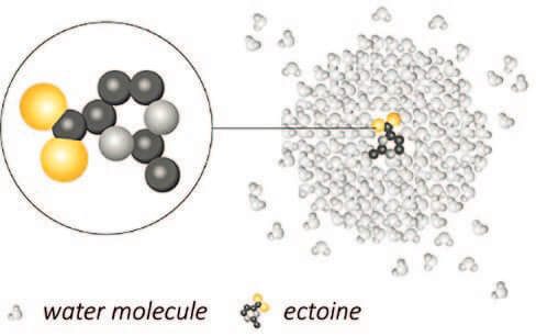 EURO COSMETICS Magazine • Extremolytes – Lab-Grown Powerhouse Actives • Eva Galik and René Schmitz • Eva Galik and René Schmitz