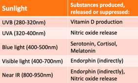 EURO COSMETICS Magazine • Sunlight, the Neuro-Cosmetic for free! • Uli Osterwalder • Uli Osterwalder
