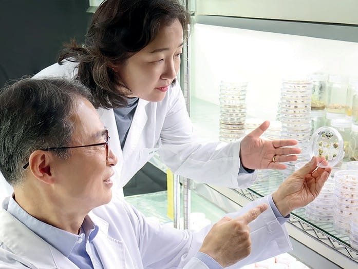 EURO COSMETICS Magazine • INGR – Imagine the Next Green Revolution • Dr. Jaeho Pyee • Dr. Jaeho Pyee