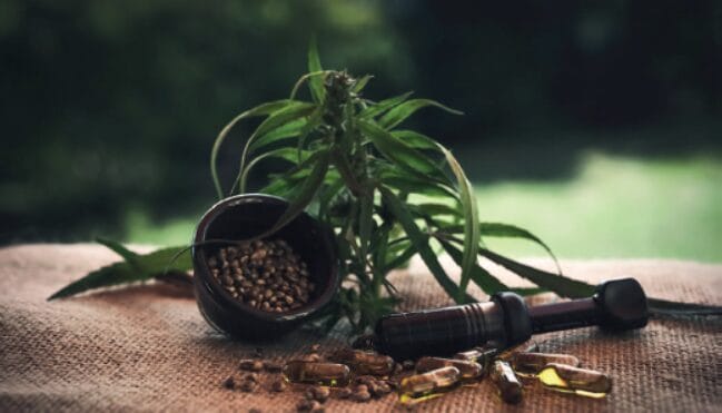 EURO COSMETICS Magazine • CBD in natural cosmetics: Under scrutiny • Paula Gómez de Tejada and Dr. Mark Smith • Paula Gómez de Tejada and Dr. Mark Smith